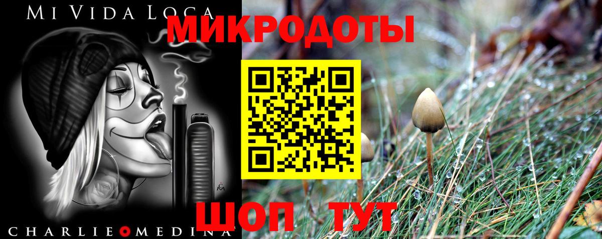 Галлюциногенные грибы прущие грибы  Вход с VPN  Псилоцибиновые грибы Magic Shrooms  Большой Камень 