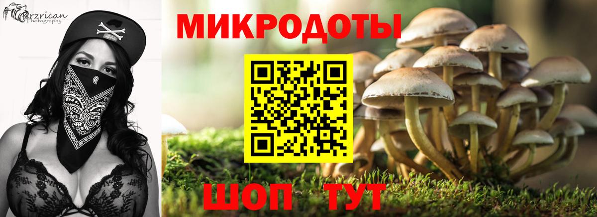 Псилоцибиновые грибы Magic Shrooms Большой Камень